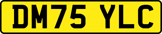 DM75YLC