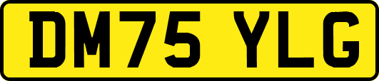 DM75YLG