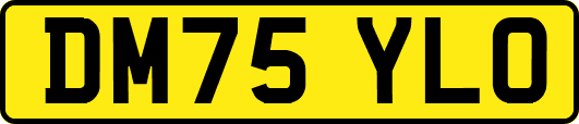 DM75YLO