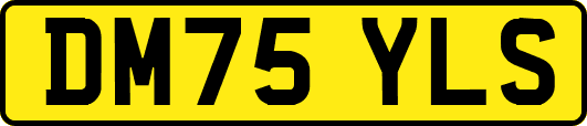 DM75YLS
