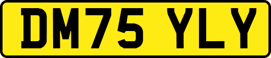 DM75YLY