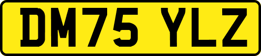 DM75YLZ