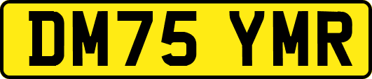 DM75YMR
