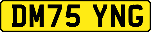 DM75YNG