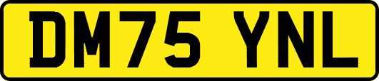 DM75YNL