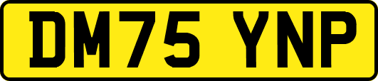 DM75YNP