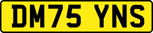 DM75YNS