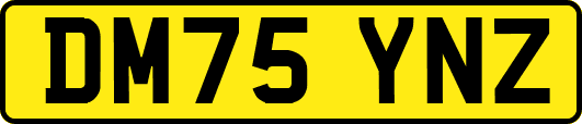 DM75YNZ