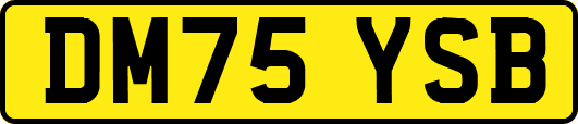 DM75YSB