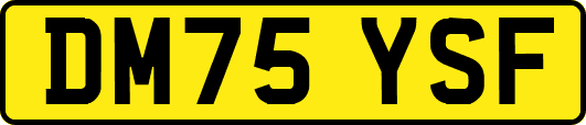 DM75YSF