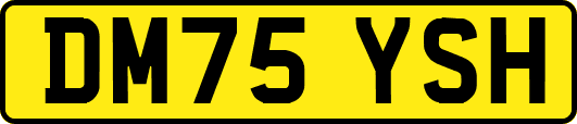 DM75YSH