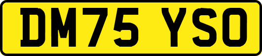 DM75YSO