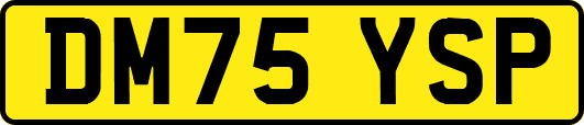 DM75YSP
