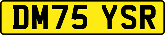DM75YSR