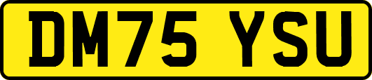DM75YSU
