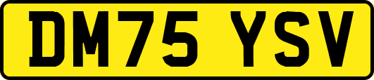 DM75YSV
