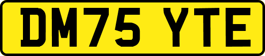 DM75YTE