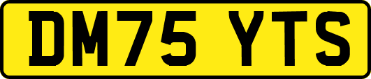 DM75YTS