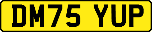 DM75YUP