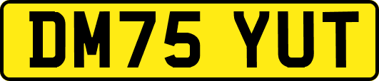 DM75YUT