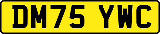 DM75YWC