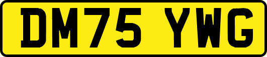 DM75YWG