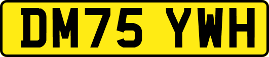 DM75YWH