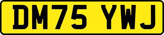 DM75YWJ