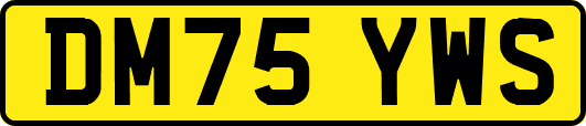DM75YWS