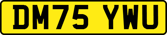 DM75YWU