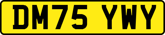 DM75YWY