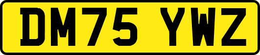 DM75YWZ