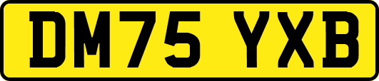 DM75YXB