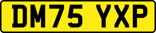 DM75YXP