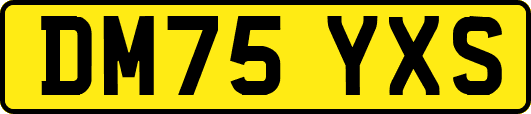 DM75YXS