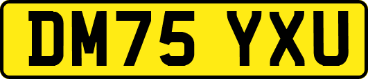 DM75YXU