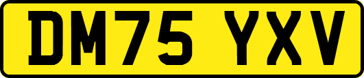 DM75YXV