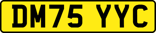 DM75YYC