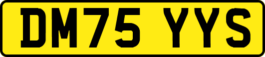 DM75YYS