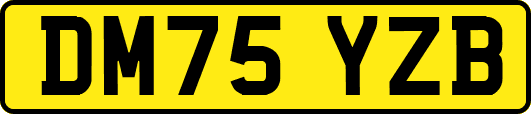 DM75YZB