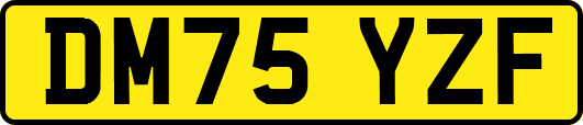 DM75YZF