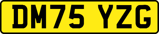 DM75YZG