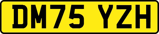 DM75YZH