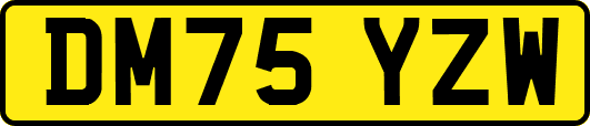 DM75YZW