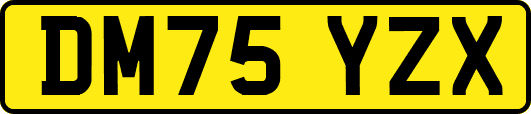 DM75YZX