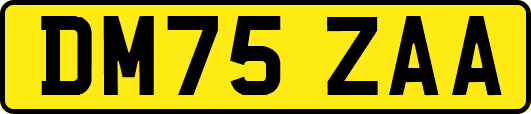 DM75ZAA