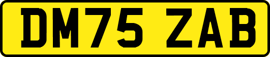 DM75ZAB