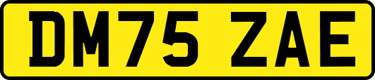 DM75ZAE