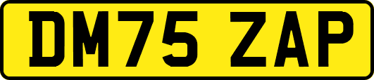 DM75ZAP
