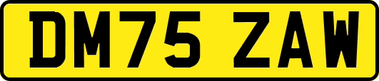DM75ZAW